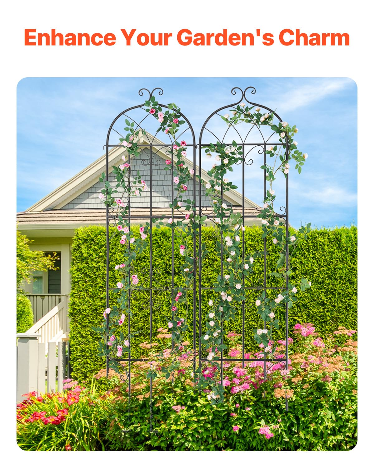 VEVOR Traliccio da Giardino Rampicanti per Piante Fiori in Metallo Antiruggine, Supporto per Traliccio per Rose Rampicanti Esterno, Traliccio Decorativo per Clematide Alta Cortili 51 x 220 cm 2 Pezzi