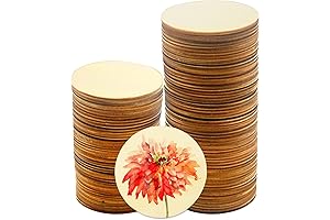 RYKOMO 100Pcs Unfinished Wood Circle, 3 Inch Wooden Circles for Crafts