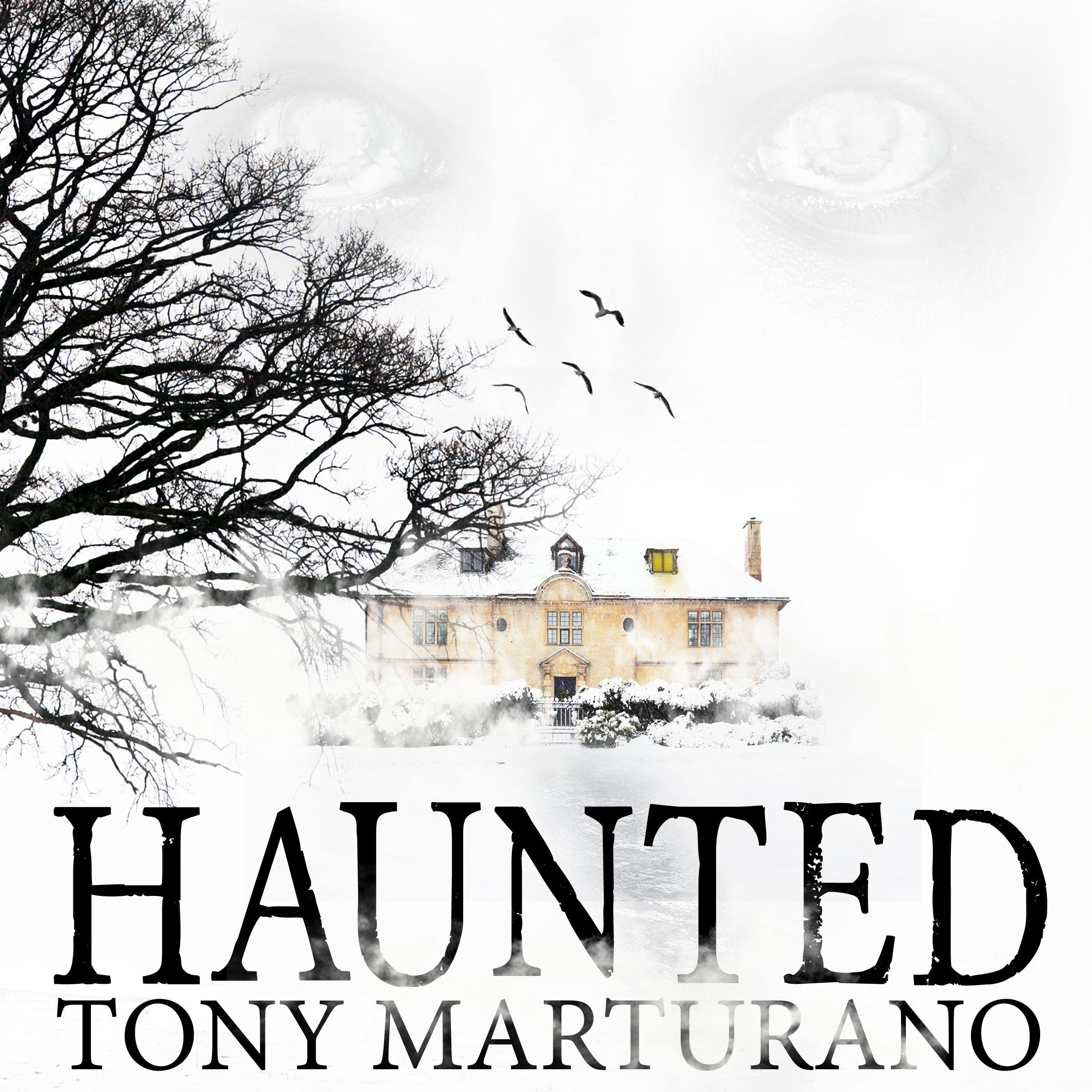 Cover art for Haunted