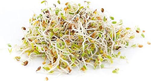 Miniatura 4 de Top It Off! Mezcla de brotes microverdes de 16 onzas – Mezcla perfecta de semillas de rábano y alfalfa sin OMG – Country Creek LLC