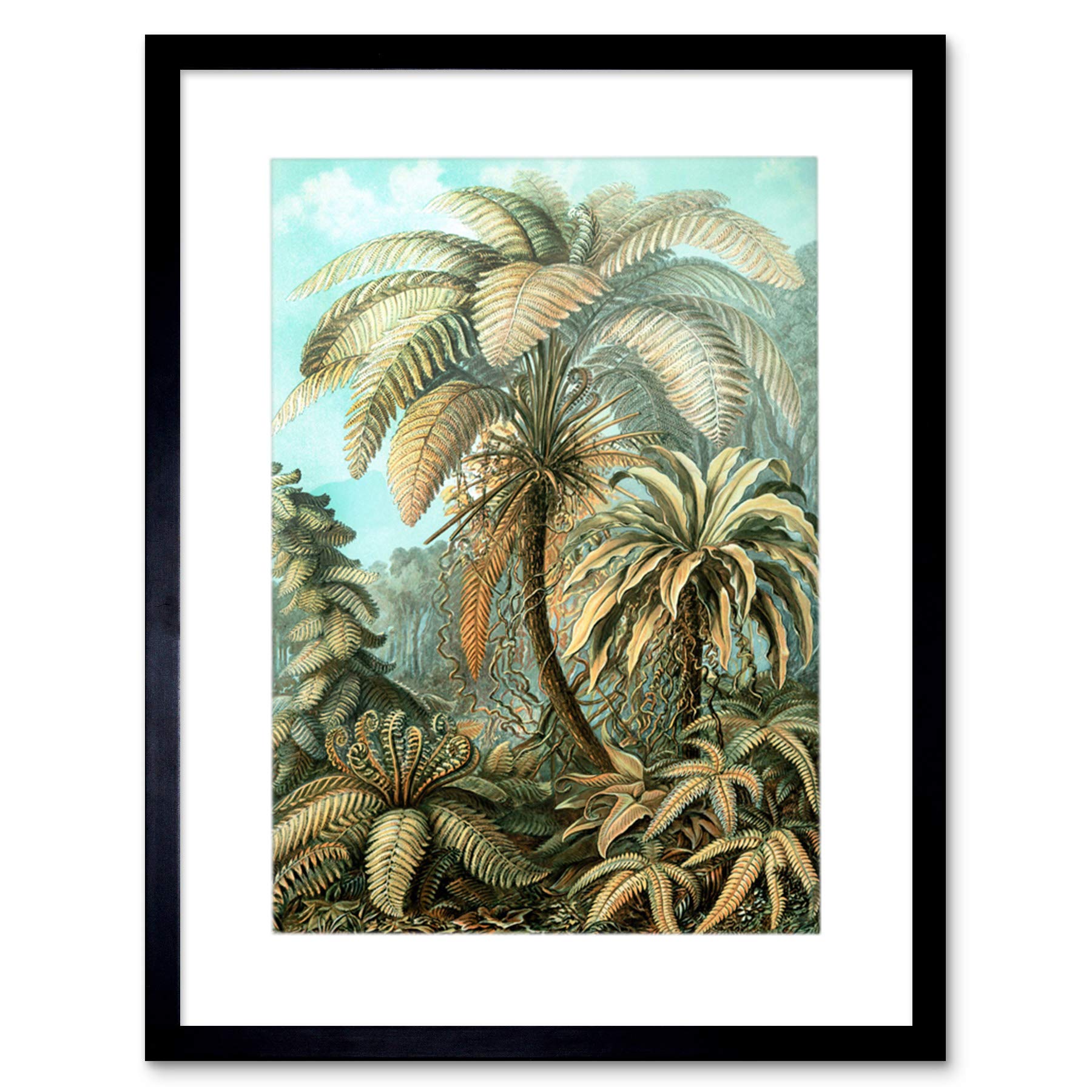 Wee Blue Coo Nature Biology Fern Ernst Haeckel Germany Framed Art Print Picture F12X605