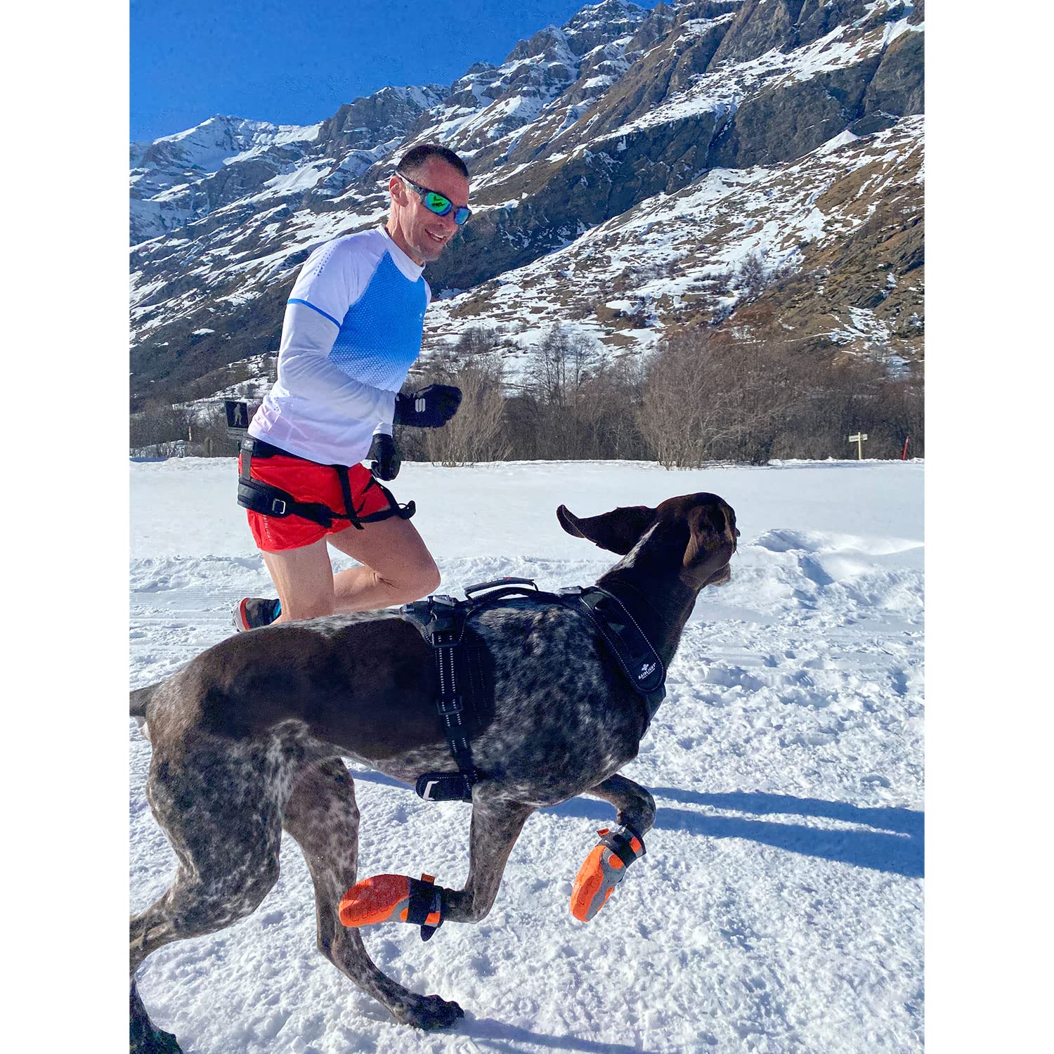 I-dog Chaussures pour Chien Pad N’Protect Polar Khan