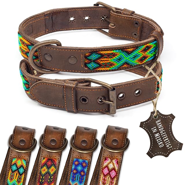 ALTEZAR Collar de piel para perro, doble tribal bordado, verde y marrón, de alta calidad