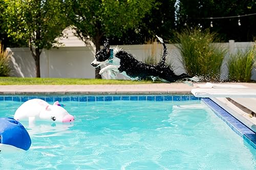 Miniatura 8 de Posh Creations Fideos de piscina de unicornio y flotadores con EPS para niños, diversión no inflable para saltar, descansar y montar en la piscina