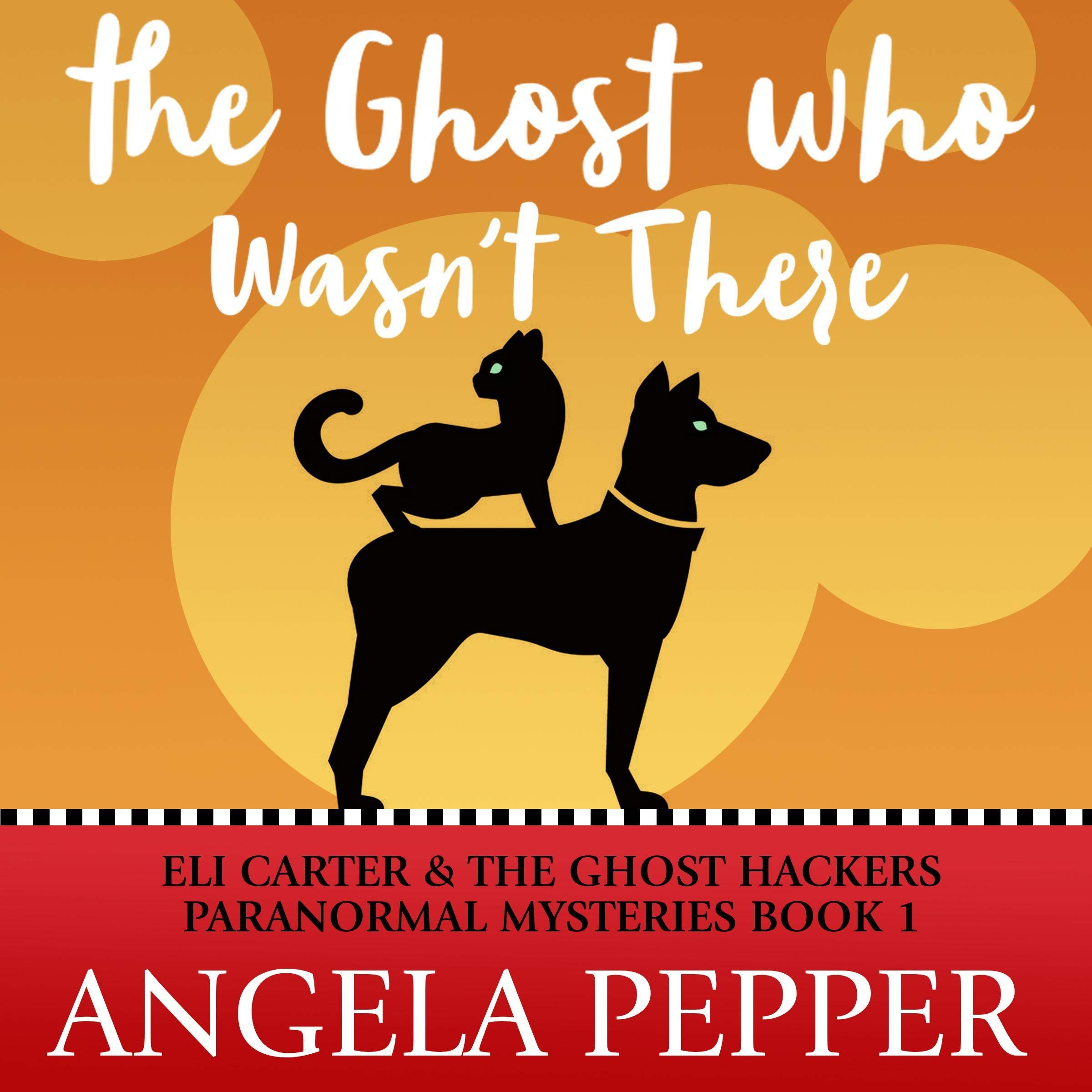 Cover art for The Ghost Who Wasn't There
