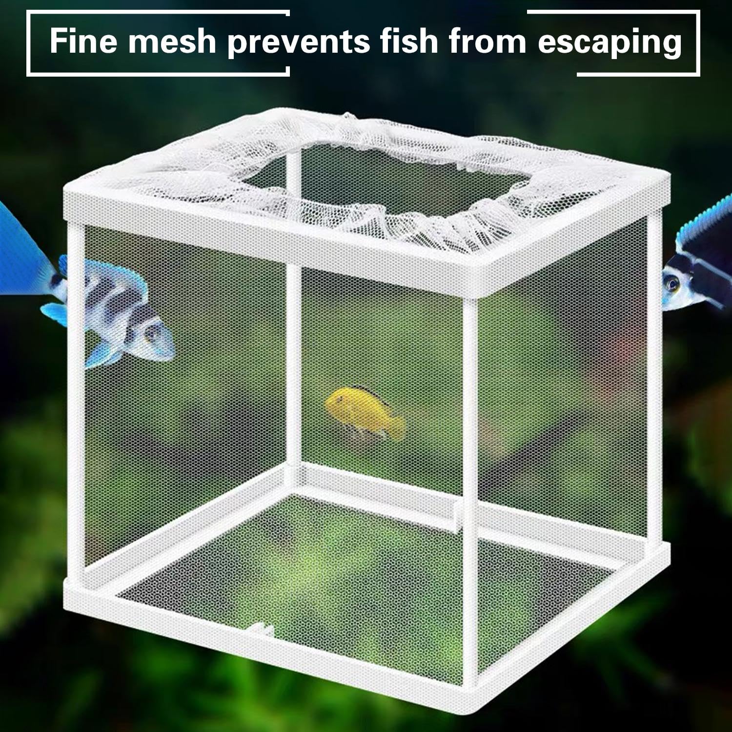 Rete Isolante per Serbatoi di Pesce e Scatola di Allevamento con Ventosa - Set da 2 per Acquario e Incubazione
