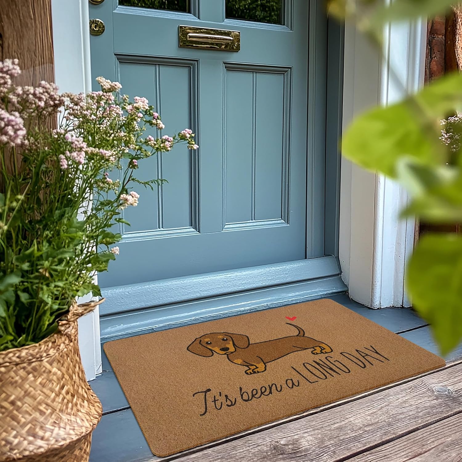 Funny Dachshund Dog Door Mat, Dachshund Gifts, It's Been A Long Day Welcome Front Door Mat Indoor Outdoor Entrance, Cute Artificial Coir Doormat Rugs for Dog Lovers Porch Entry 30x17in