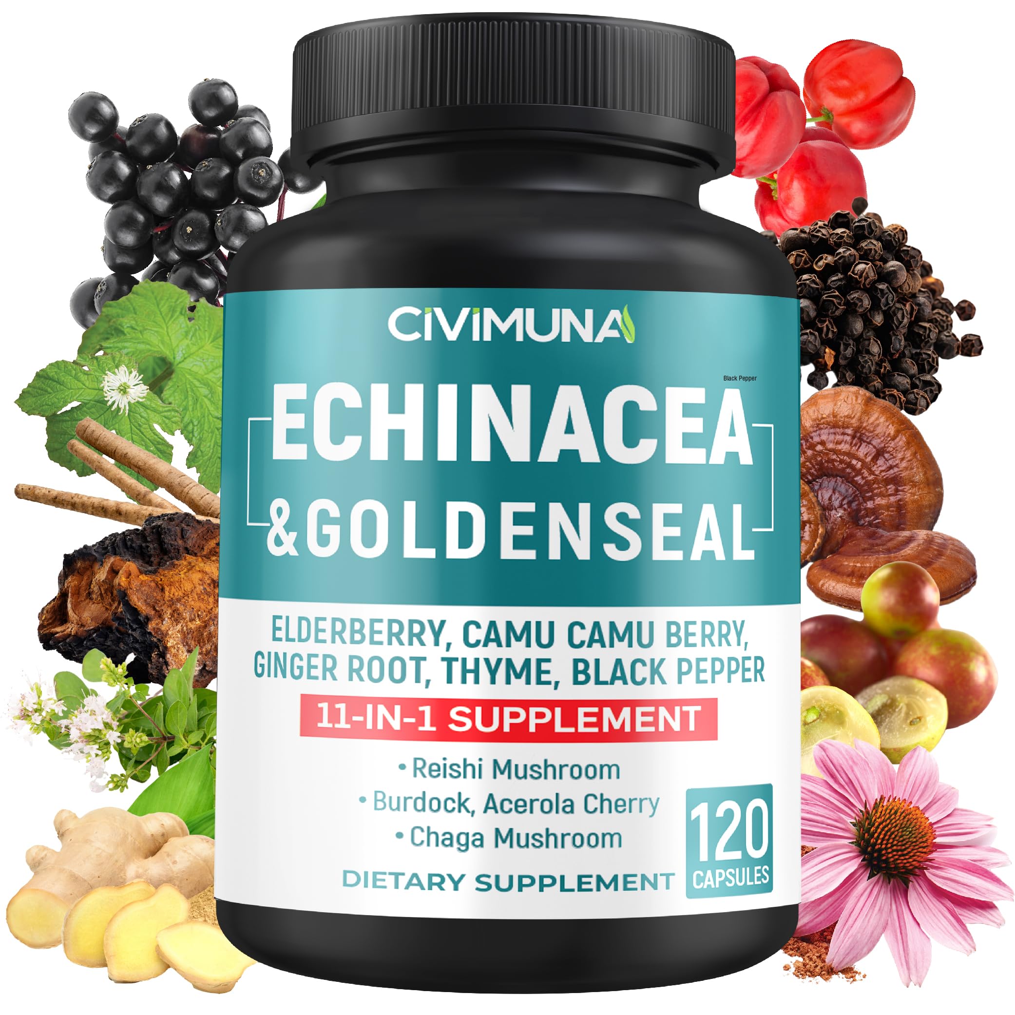 Echinacea Extract Capsules with Echinacea, Goldenseal Root, Elderberry and More - 120 Capsules for 4 Months Supply