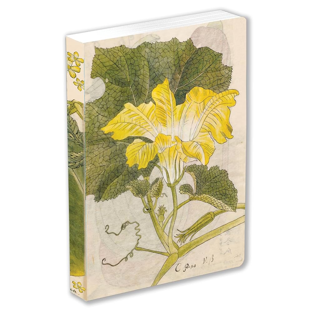 サクラページ Amazon.com: Japanese Squash Blossom Lined Paperback Journal