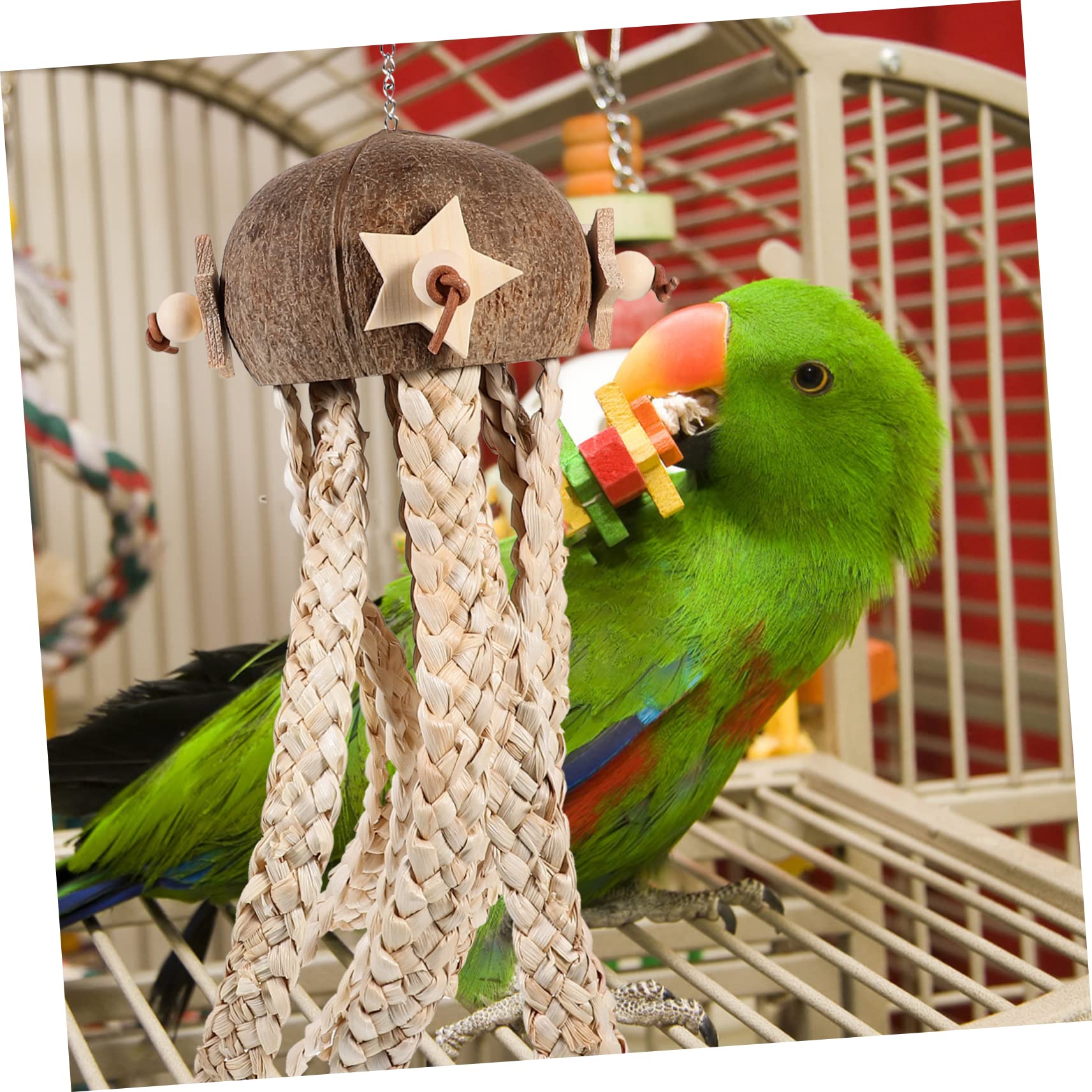 TOYANDONA Vogelspielzeug aus Kokosnussschale zum Aufhängen Sicheres Kauspielzeug für Papageien Futterspielzeug für Vogelkäfige und Natürliche Beschäftigung