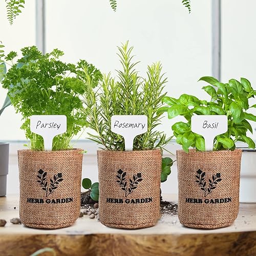 Miniatura 6 de Kit de inicio de jardín de hierbas para interiores, 5 semillas de hierbas sin OMG, albahaca, perejil, romero, tomillo y menta con juego completo de