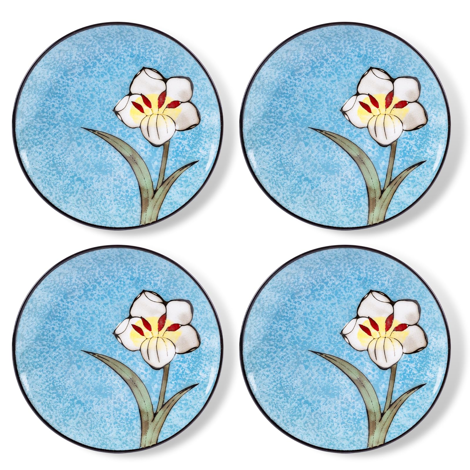 8 Inch Floral Plates , Ceramic Dinner Plates Set of 4, Microwave Dishwasher Oven Safe, fo…