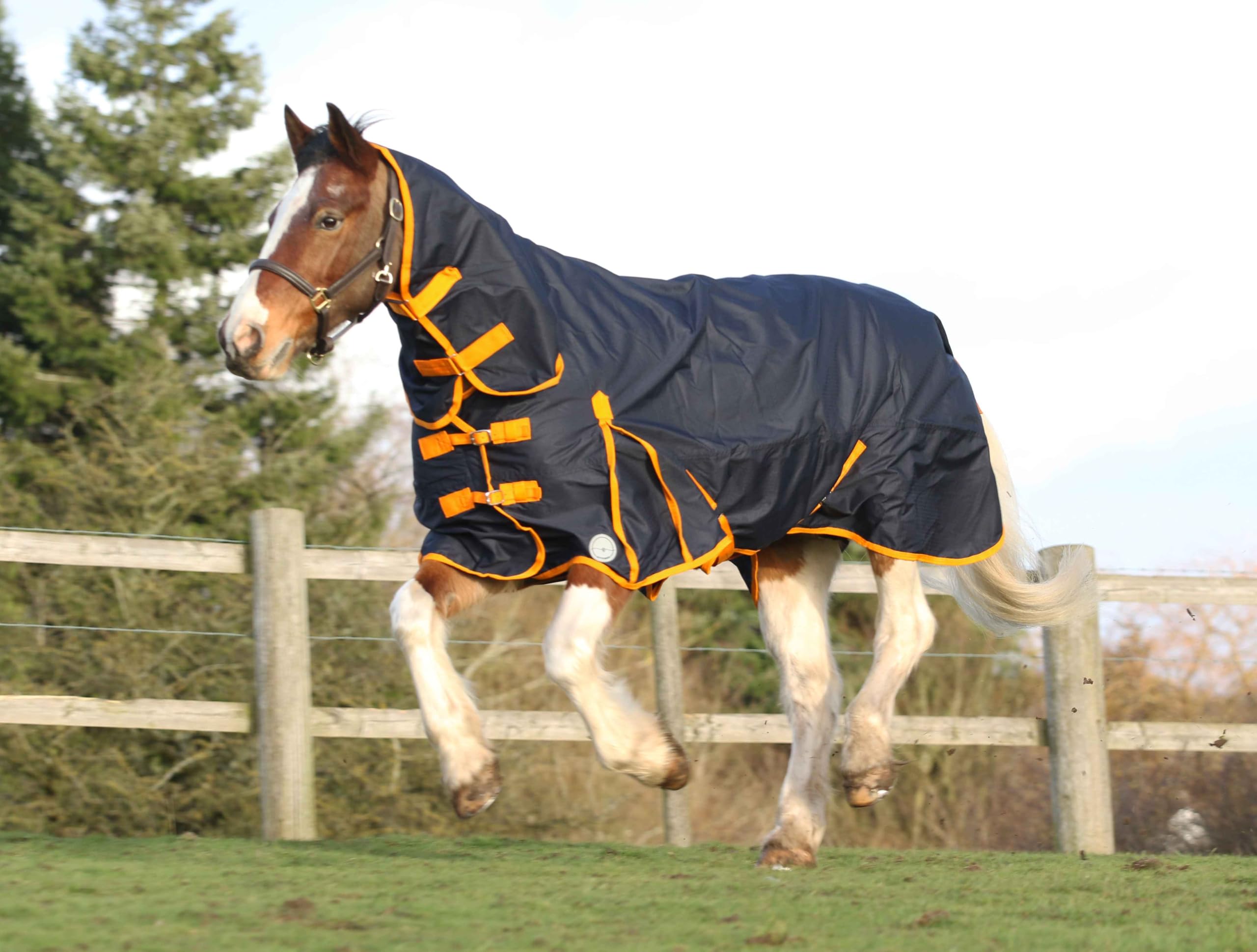 AUTUMNN EQUESTRIAN Premium Horse Blanket, No Fill 600D Lightweight Turnout Rug, 0g Rain Sheet, Navy (6'3'')