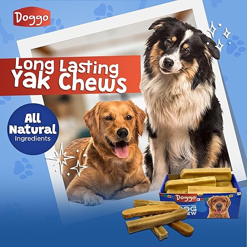 Miniatura 24 de Masticables prémium de queso de yak para perros del Himalaya - Masticables naturales de yak para perros grandes y pequeños - Masticables de leche