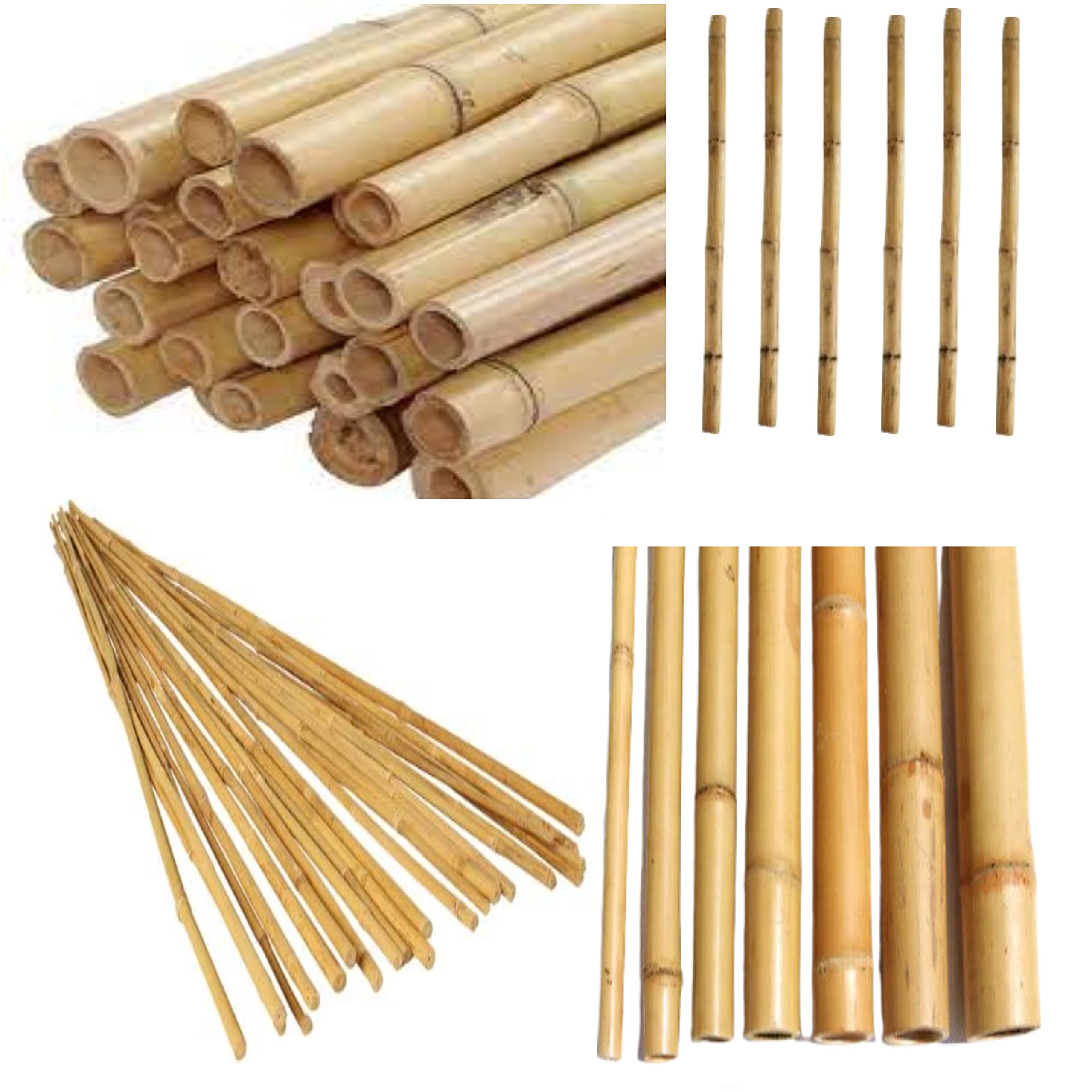 Funky Bamboo Stake - Plant Support Garden Canes|Strong Thick Heavy Duty Sticks Natural |Gardening Jobs Outdoors - Plants Flower Supporting with Size 2ft-60cm (12-16mm) & Pack of 40
