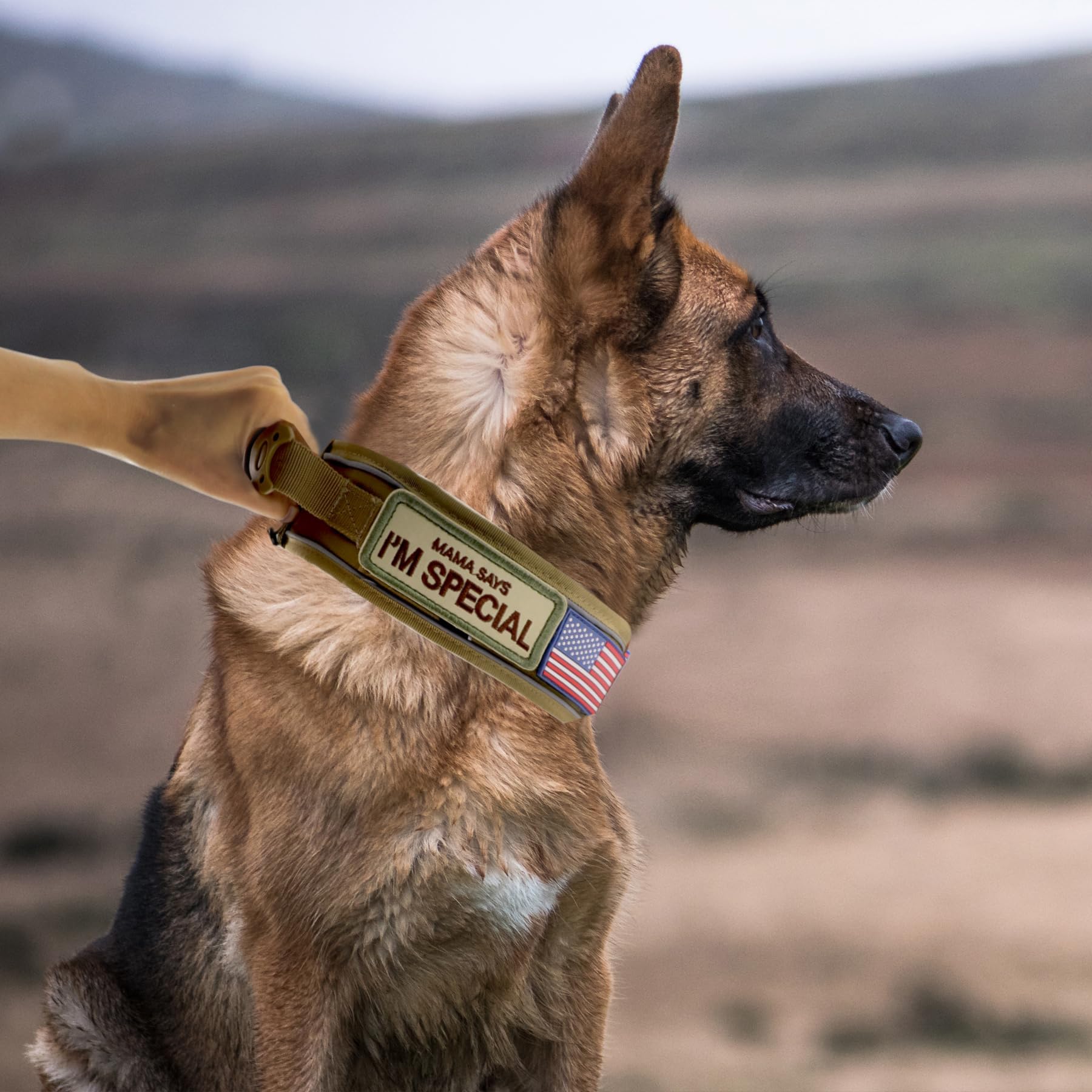 Collar táctico para perro de 2.6 pulgadas de ancho con mango de control, collar militar resistente con hebilla de metal fuerte, collar reflectante de entrenamiento para perros medianos y