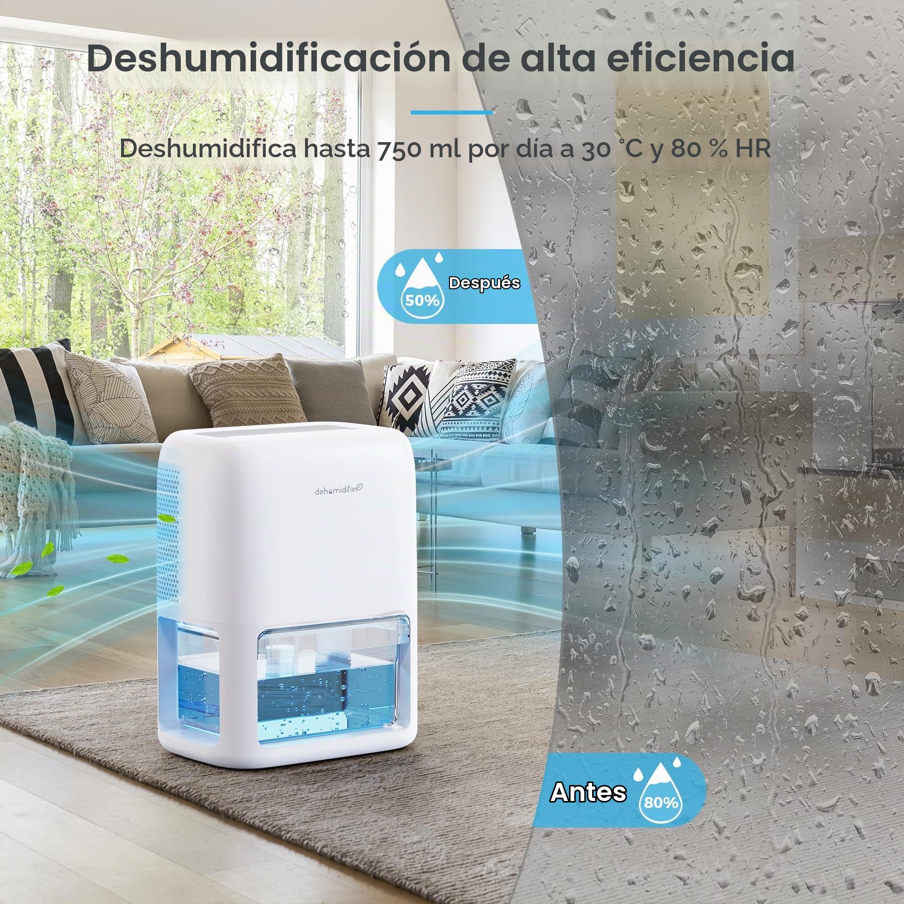 QEXREED Deshumidificador Bajo Consumo 1800ml, Doble Semiconductor, Pequeño Deshumidificador Silencioso Eléctrico, Apaga Automáticamente, Desescarche Automático, Baño | Doble Semiconductor, Silencioso, Apaga Automáticamente, Desescarche Automático para Bañ