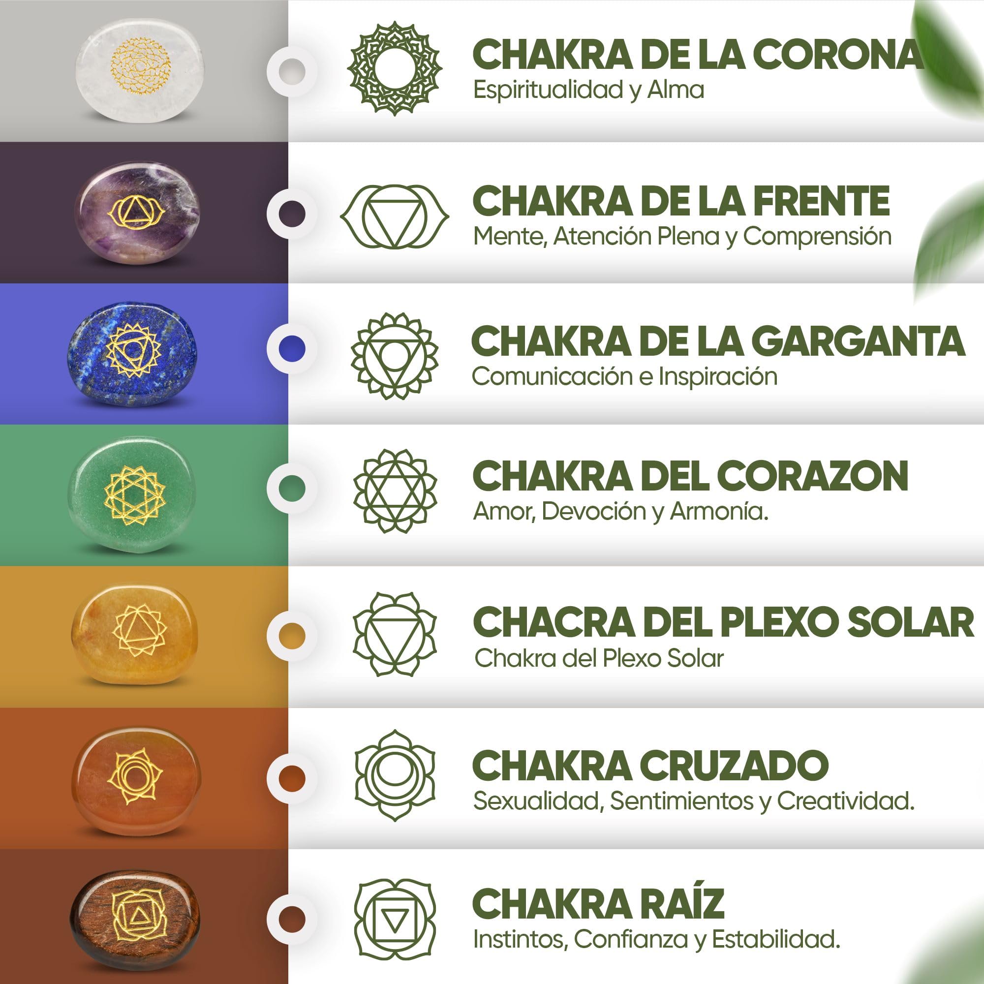 PURAJA Conjunto de Chakras Premium con los 7 principales cristales | Set de piedras curativas de cristales | Piedras de los Chakras con símbolos | Piedras curativas artesanales para meditación