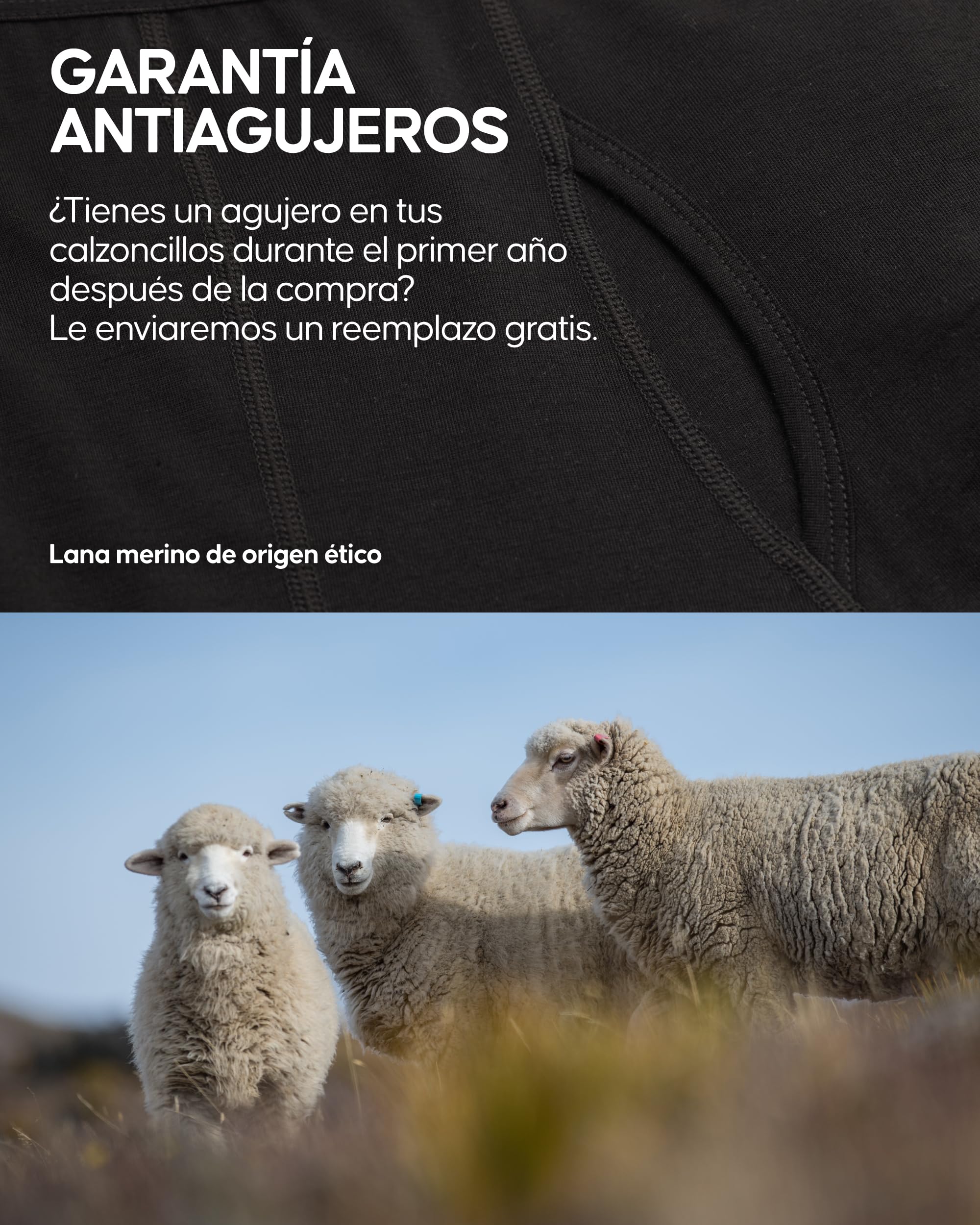 DANISH ENDURANCE Calzoncillos Hombre Boxer de Lana Merino, Transpirables, Pack de 1, con o Sin Bolsillo