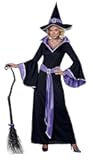 Glamour Witch Incantasia Costume
