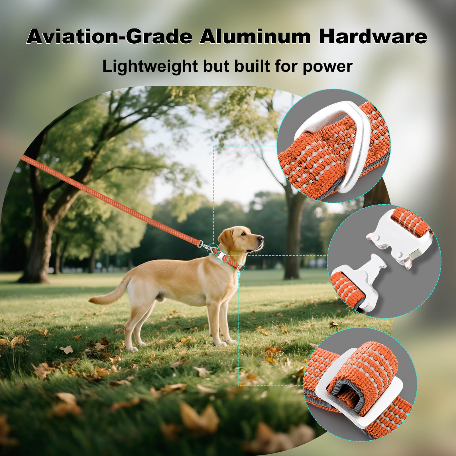 Plutus Pet Reflective Dog Collar with Aviation Aluminum Buckle, Neoprene Padded for comfort Lightweight - Image 3