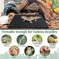 Vista 6 de Tfwadmx Plataforma para tomar el sol de reptiles, plato de alimentación de tortuga, cuenco de comida de reptiles de roca natural, decoración