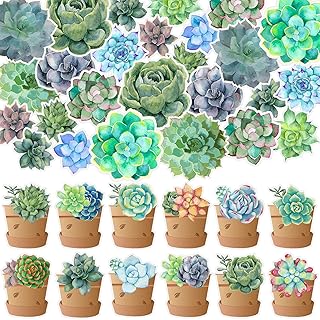 72 Pieces Succulents Classroom Decor Succulents Cutouts 12 Styles Watercolor Succulents Bulletin Board Decorations Potted Accents Decor Succulent Paper Cut Outs with 120 Pieces Glue Point Dots