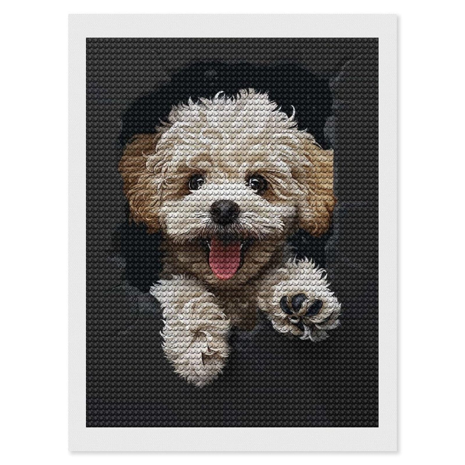 Junmoney Poodle(2) Full Drill Diamond Painting Kit 12"x16", for Teens, Adhesive Canvas, Bedroom Decor, Holiday Gift Idea