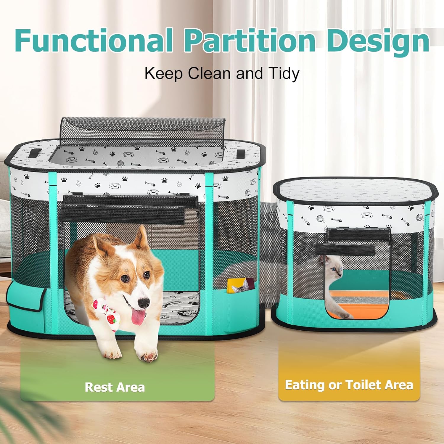 https://m.media-amazon.com/images/I/81lYdyteoWL._AC_SL1500_.jpg