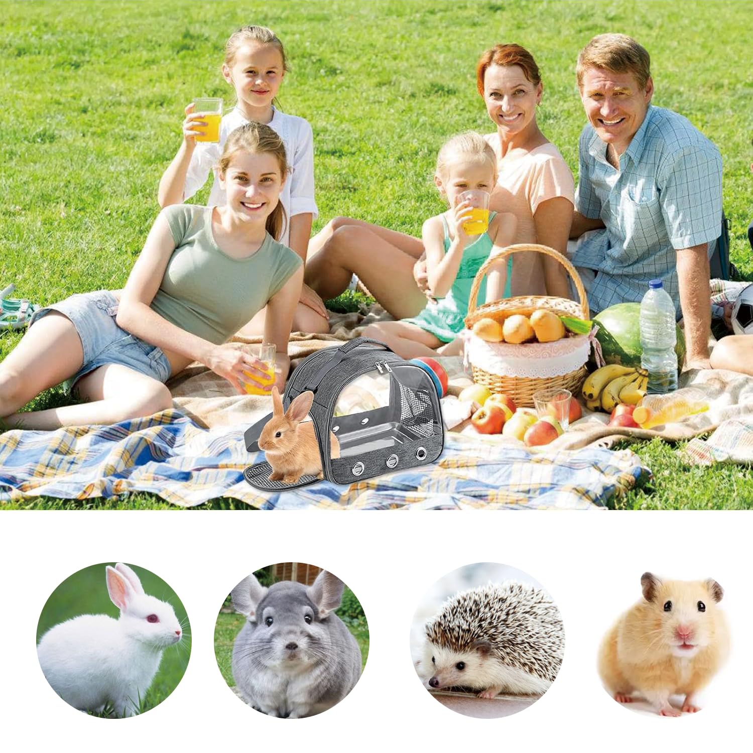 Sac De Transport pour Petits Animaux, Cage à Oiseaux, Sac De Voyage pour Animal, Cage De Transport Portable pour Petit Oiseau, Boîte De Transport pour Oiseaux, pour Petits Oiseaux, Perroquet (Gray)