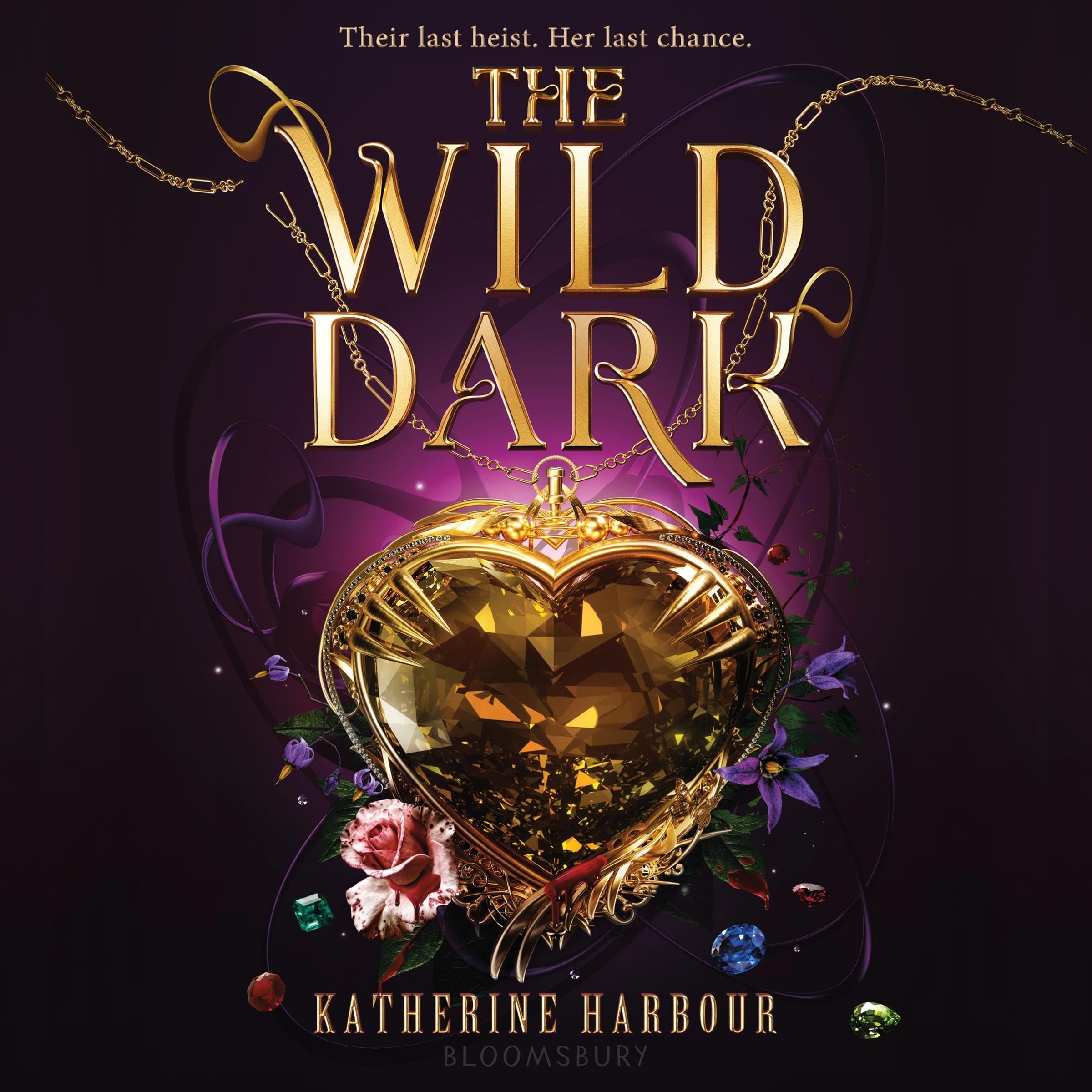 Book cover for The Wild Dark