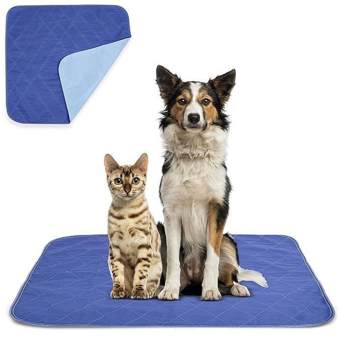 Buy Beck’s USA Made Reusable Pet Pee Pads for Dog & Cat Pee Problems