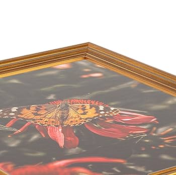 豪華木製ゴールド額　外寸約923×770mm　内寸約724×567mm 豪華木製ゴールド額 外寸約923×770mm 内寸約724×567mm