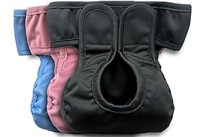 Reusable Cat Diapers and Stud Pants to Prevent Pee Marking