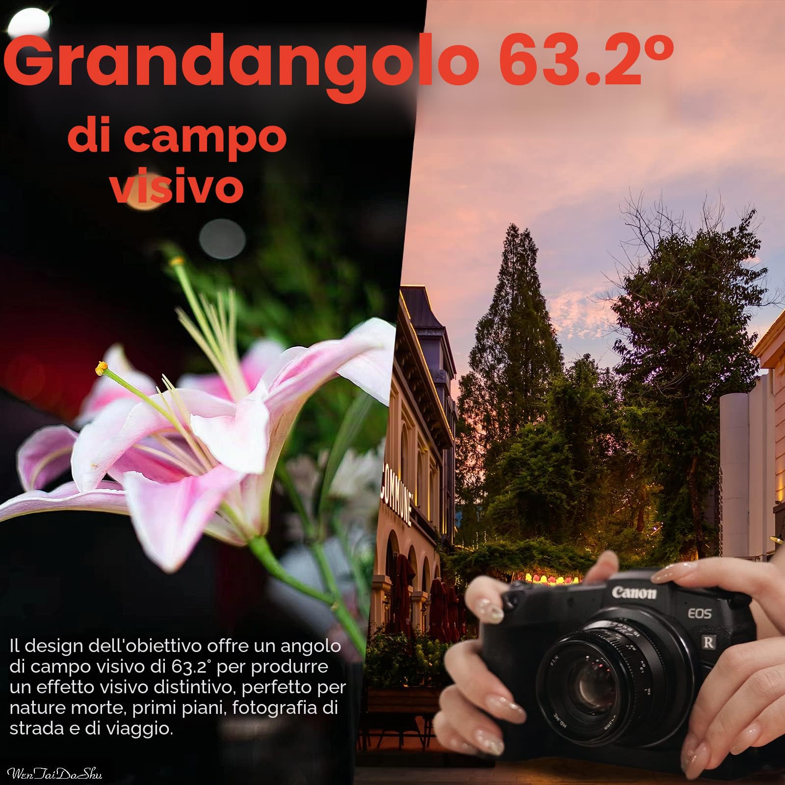 PERGEAR 35mm F1.4 obiettivo full frame con messa a fuoco manuale, compatibile con fotocamere mirrorless full frame con attacco L T TL TL2 CL, DC-S5 DC-S1H DC-S1R DC-S1 DC-BS1H e fp fp-L