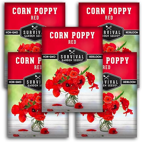 Paquete de 5 semillas de amapola de maíz rojo para plantar, paquete con instrucciones para cultivar amapolas Fl&ers Remembrance en tu huerto casero,
