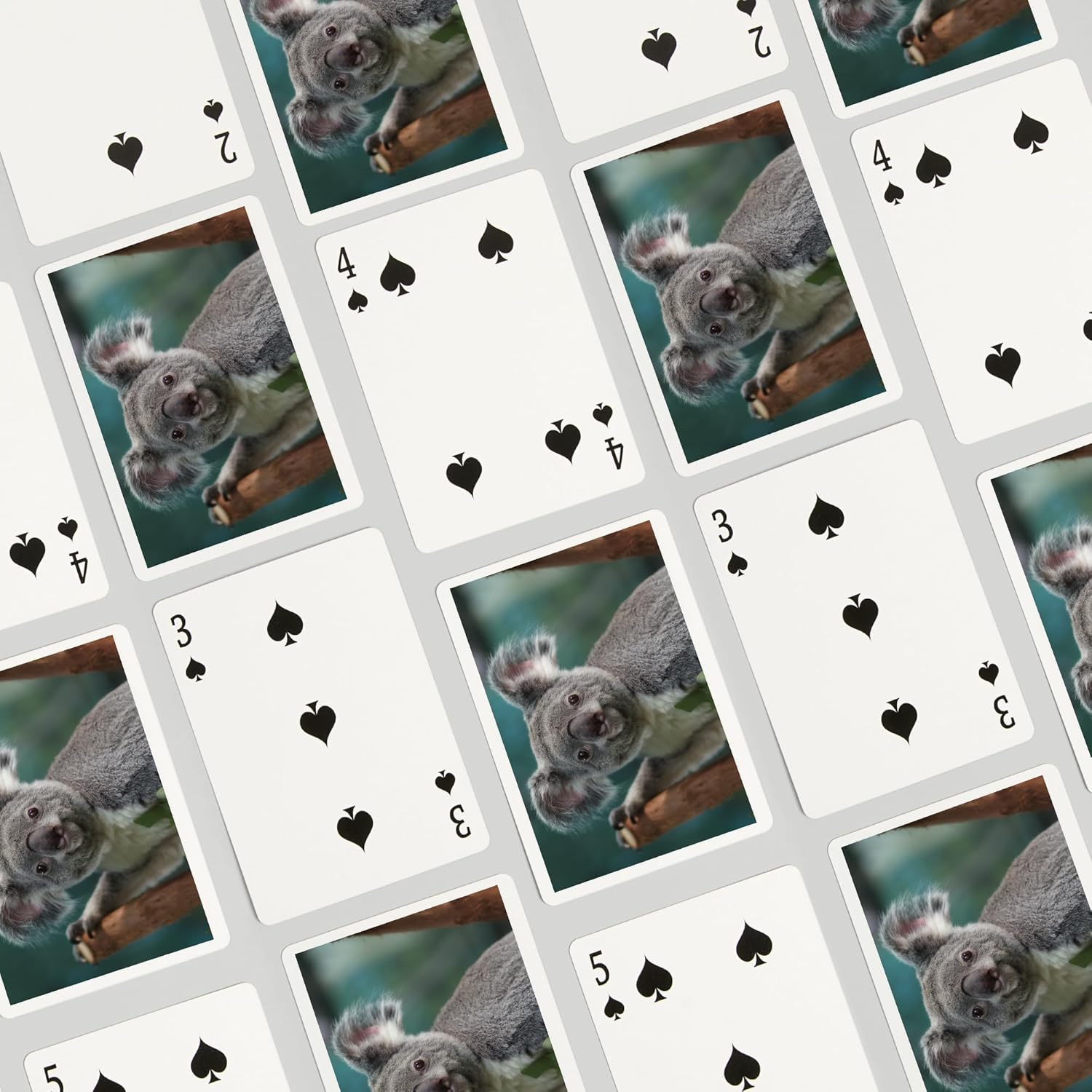 Lantern Press Koala, 52 Playing Cards for Adults, Poker Size Card Deck