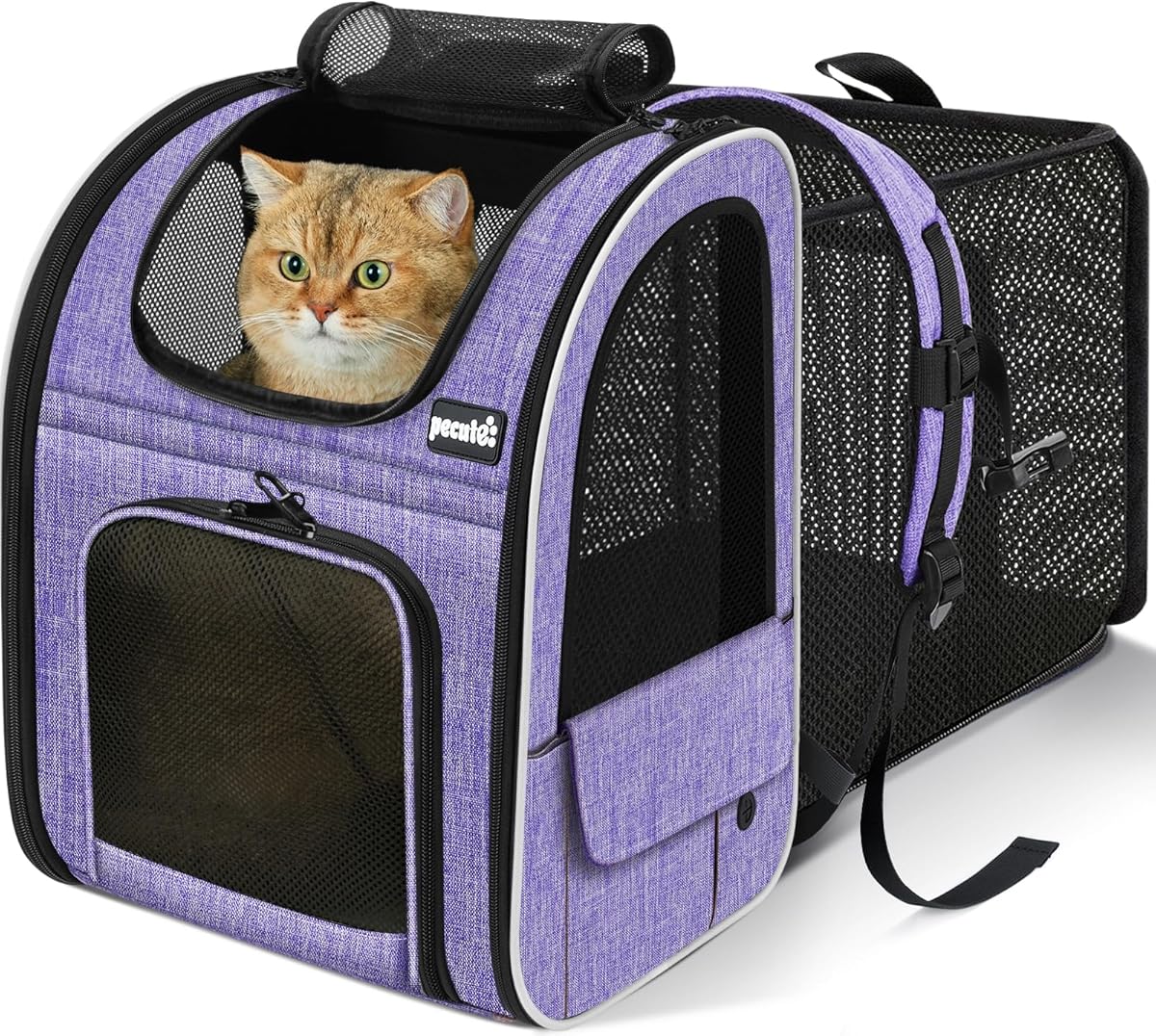 Pecute Cat Backpack Carrier Expandable, Pet Backpack for Cats & Small Dogs Up to 11lbs, with 4-Side Breathable Mesh, Multi-Entry & Lockable Zippers for Travel, Hiking, Camping - Hands Free, Purple