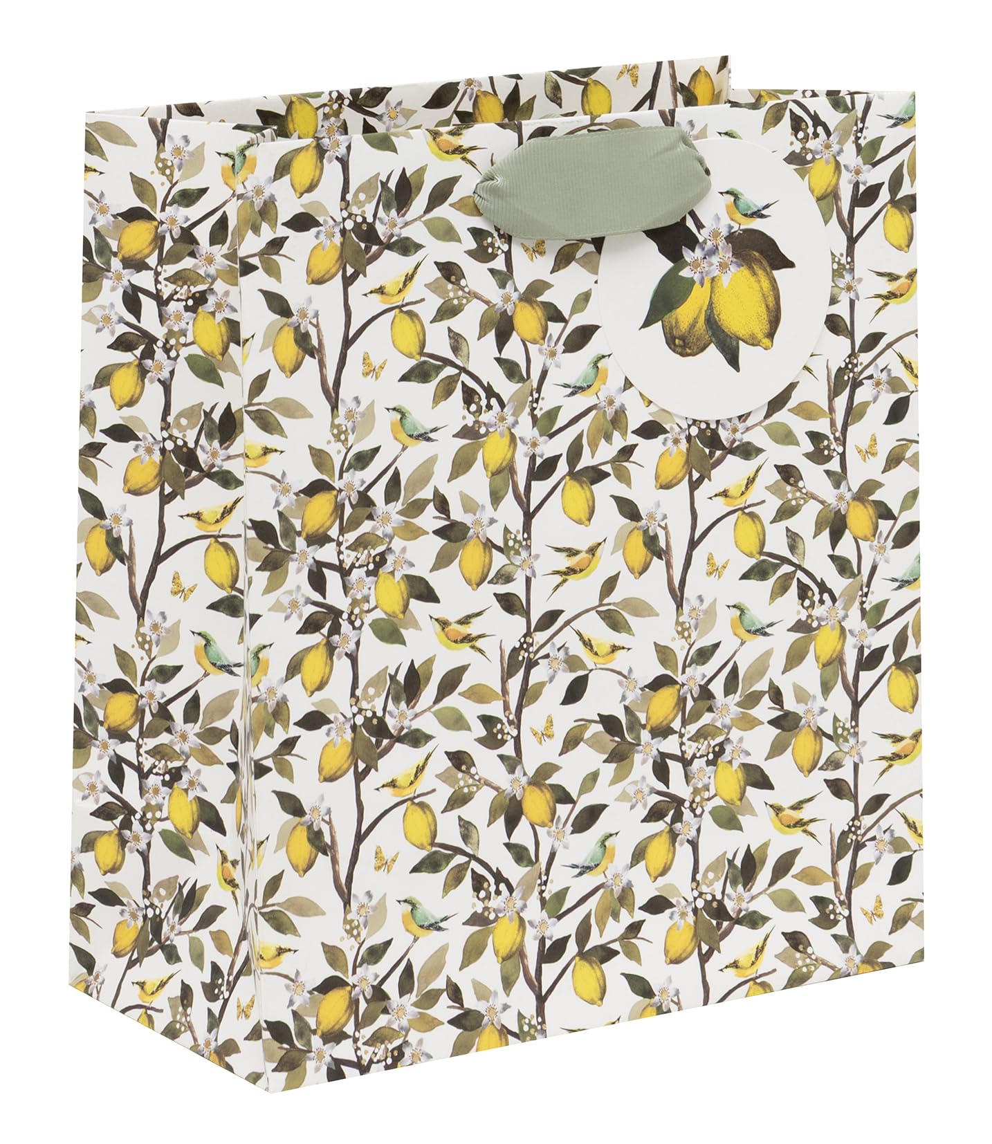 Glick Medium Gift Bag - Fruit Orchard Design - 200 x 225 x 100mm