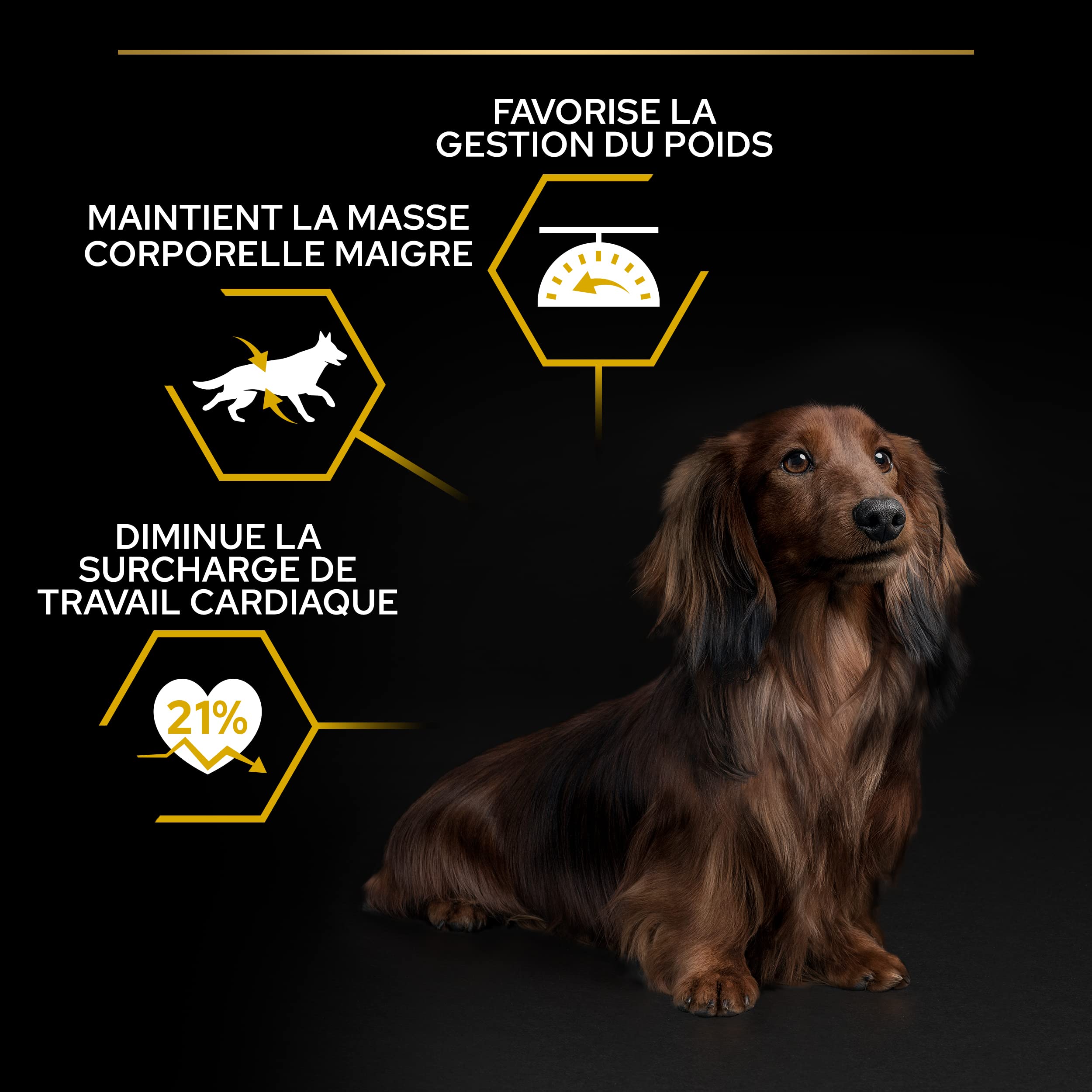 PURINA PRO PLAN | Light/Stérilisé| Chien Adulte de petite taille et mini | Croquettes Riches en Protéines| Au Poulet| Favorise la gestion du Poids | Sac | 7 KG
