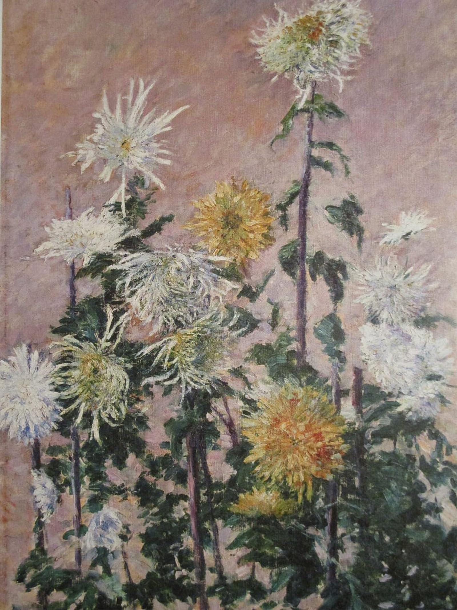 SERENDIPITP Aesthetic Poster Photo Wall Print Retro Picture White and yellow Flowers by Gustave Caillebotte Modern Wall Artwork for Home Decor 60x90cm