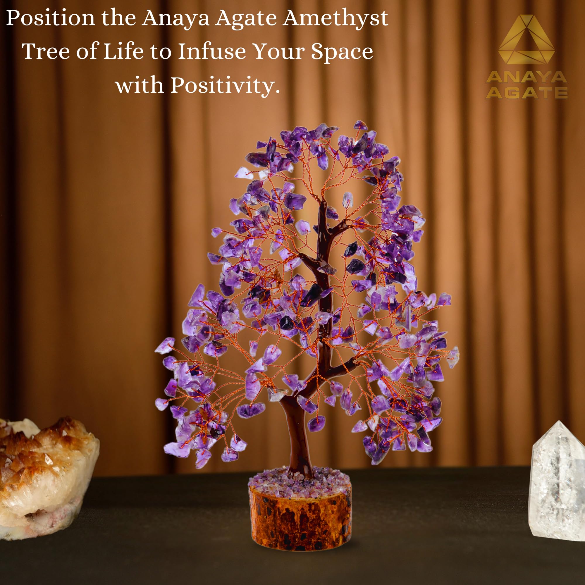 View 7