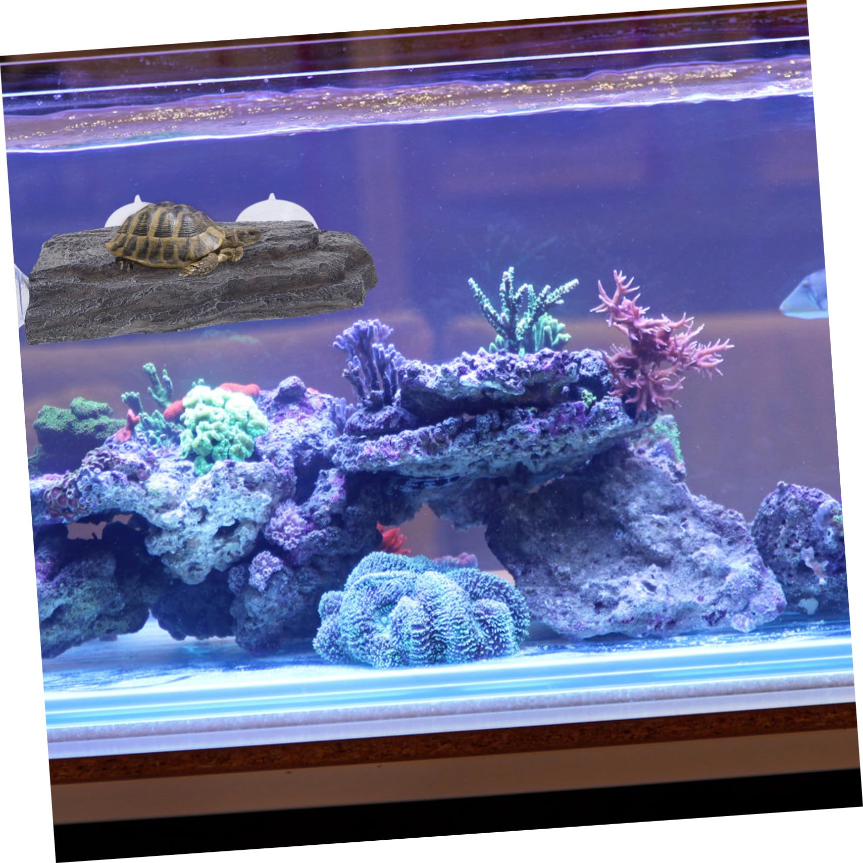 Schildkrötenplattform Sonnenplatz mit Starkem Saugnapf Steinoptik Aquarium Dekoration für Terrarium Kleine Reptilien