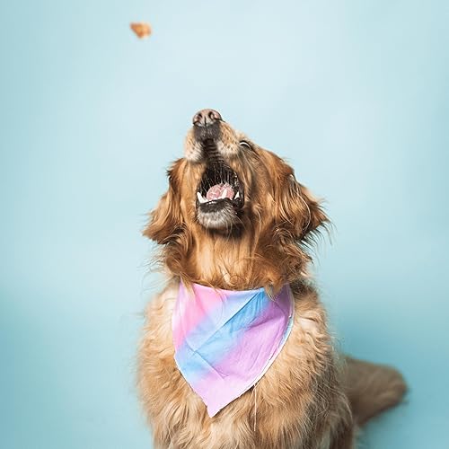 Miniatura 4 de Strap & Load Superfood - Golosinas para perros de 16 onzas, golosinas de carne de res real para aperitivos y entrenamiento, fabricadas en Estados