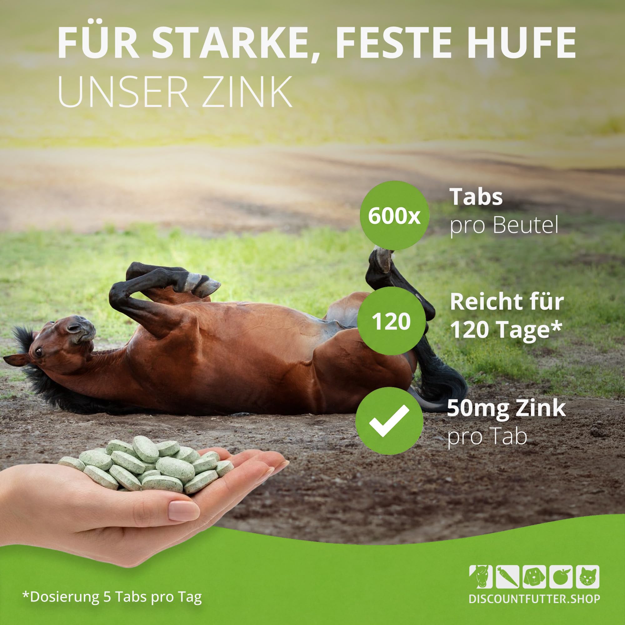 Zink Tabs 60.000 | hoch dosiert Pferde | 600 Stück I mit organischem Zink | frei von Getreide und Zuckerzusatz | 1 Tab = 50 mg Zink