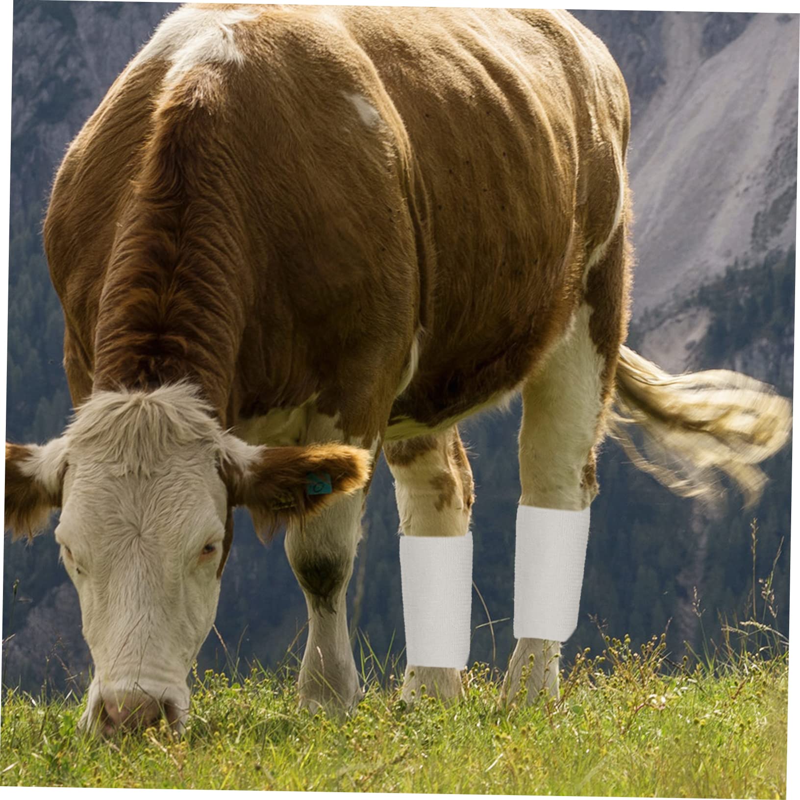 BESPORTBLE Bandages Bandages Élastique Élasticité Sport Élasticité Conception Vache Auto-Adhésif Peau Bandes Vache Fixation Vache Auto-Adhésif Enveloppement Cheval Tissu