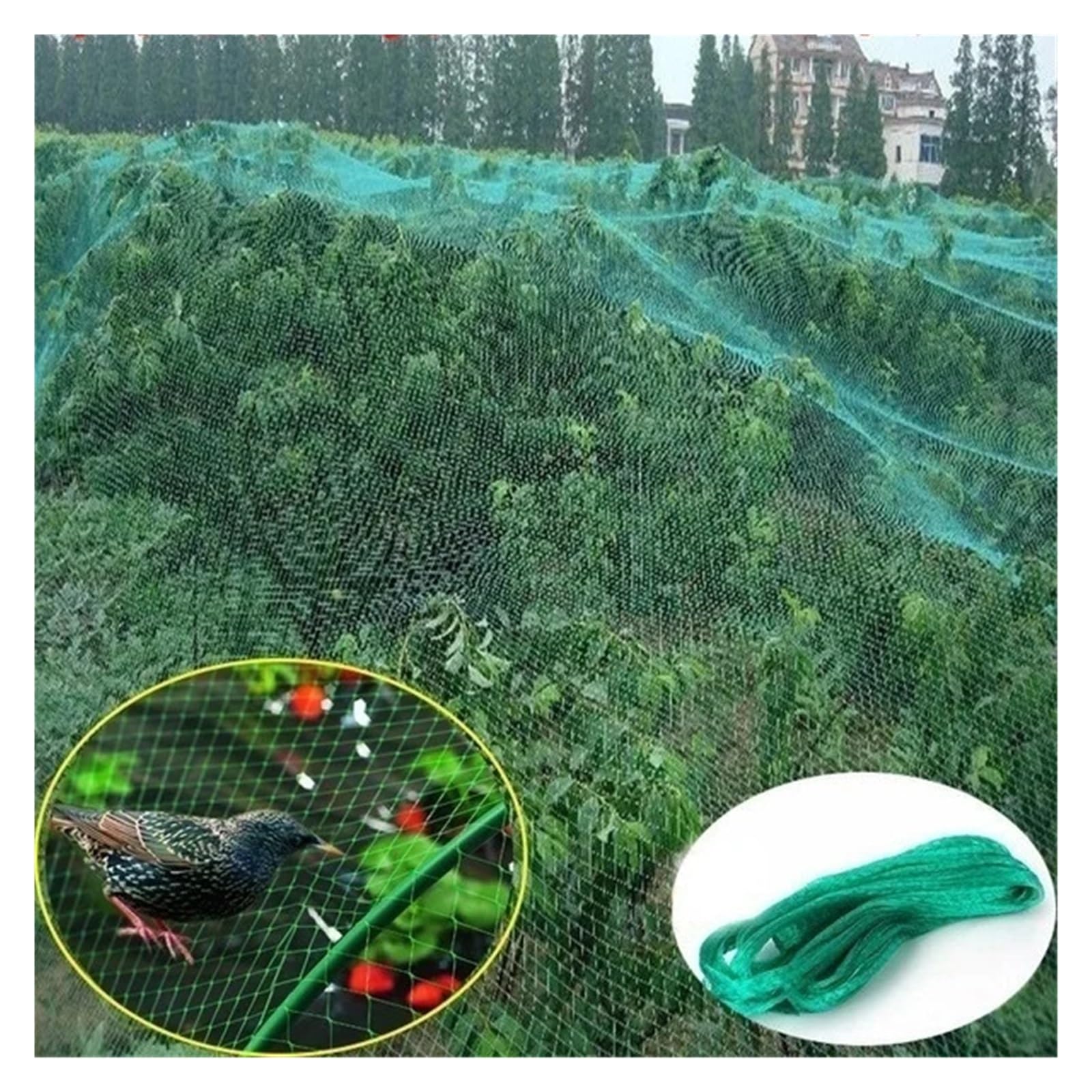 Garden Netting 2m / 4mx10m Anti Bird Protect Tree Net Fruit Crop Plant Garden Pond Netting Mesh(4m by 10m)