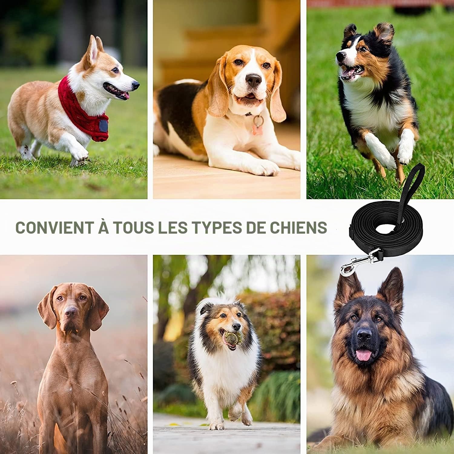 Longe pour Chien 20m Noir - Laisse de Dressage Longue pour Petites à Grandes Tailles
