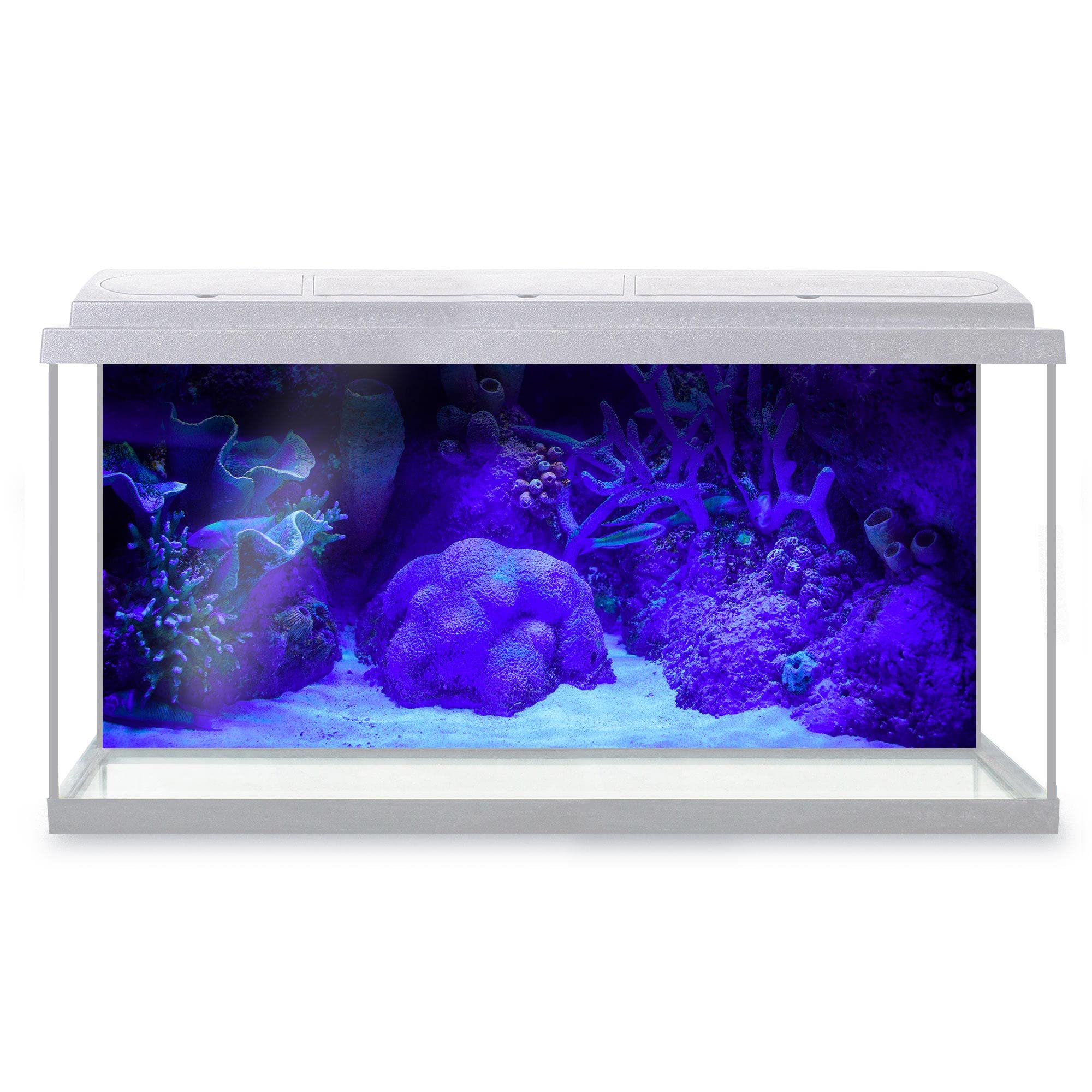 DV DESIGN Aquarium Fish Tank Background 123x54 cm - Beautiful Sea World Underwater Corals Tropical Fish Landscape Ultramarine Static Cling Vinyl Vivarium Terrarium External Application #500093