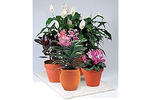 Eco-Friendly Plant Watering Mat for Optimal Soil Moisture